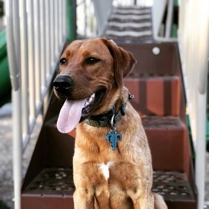 Meet your Posher, Garrett